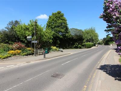 Picture 12